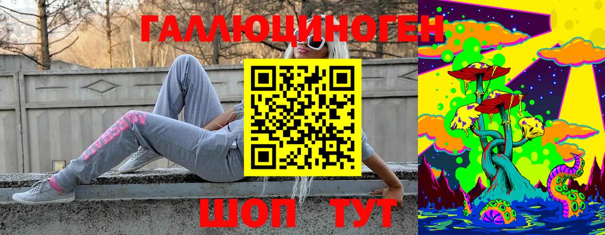 Ртищево  Псилоцибиновые грибы MAGIC MUSHROOMS  Вход с VPN  Галлюциногенные грибы прущие грибы 